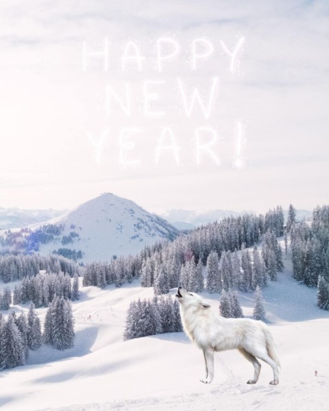 2022 New Year CB PicsArt Background Full HD Wollf