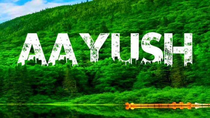 Aayush Urban Jungle Background Photos Hd Download Free HD Images