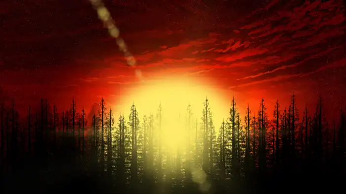 Abstract Forest  Forest Fire With Sun Background