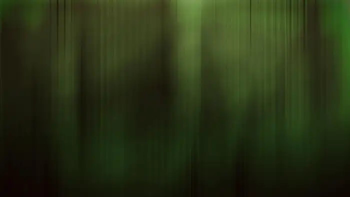 Abstract Forest  Green And Black Background