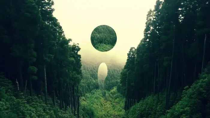 Abstract Forest  Green Circle In The Sky Above Trees Background