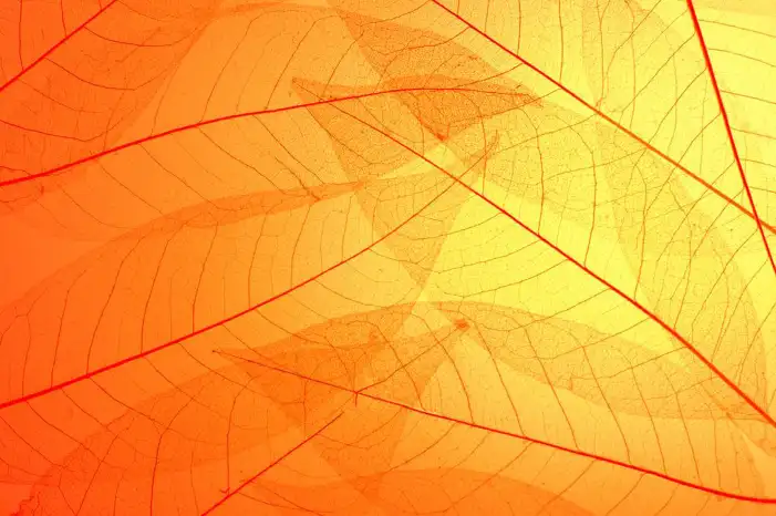 Abstract Orange Background HD Images