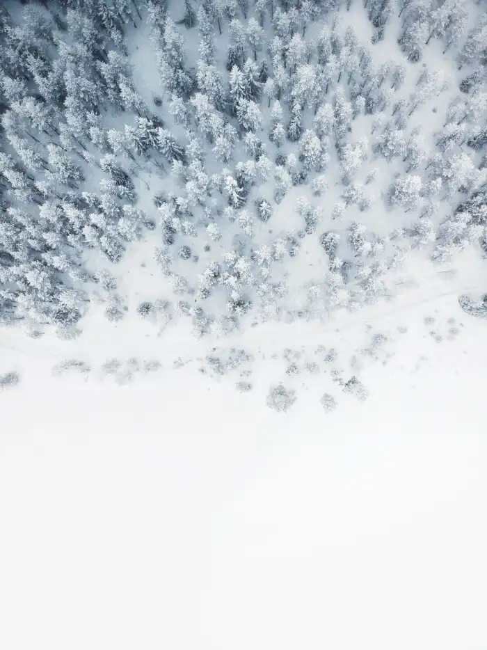 Aerial View Snow Covered Forest Background Phone Wallppaer