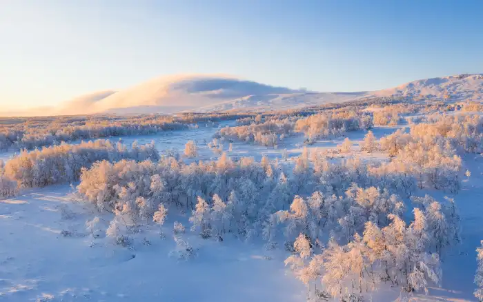 Aerial View Snow Covered Forest Mountain Background