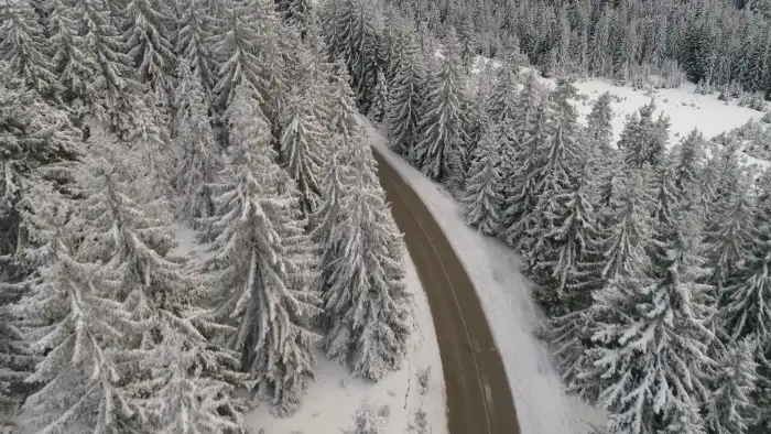 Aerial View Snow Covered Forest Road Background