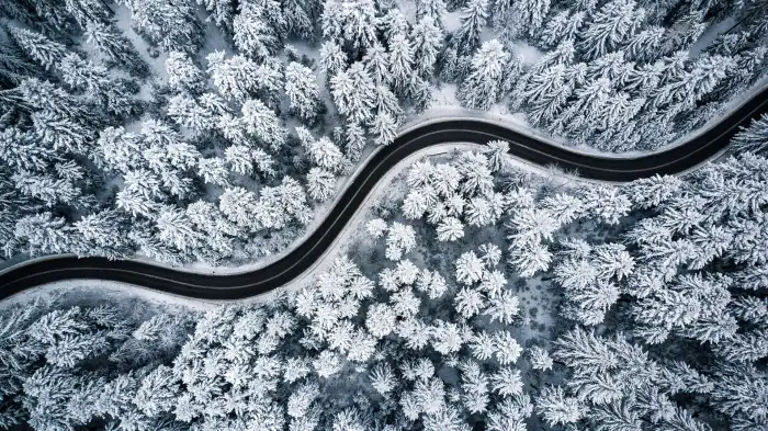 Aerial View Snow Covered Forest Road Background