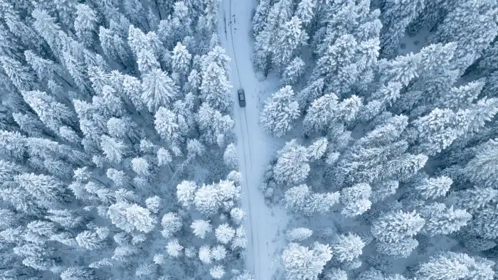 Aerial View Snow Covered Forest Tree Road Snow Cover Background