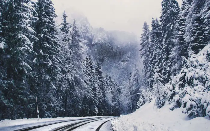 Aerial View Snow Covered Tree Road Forest Background