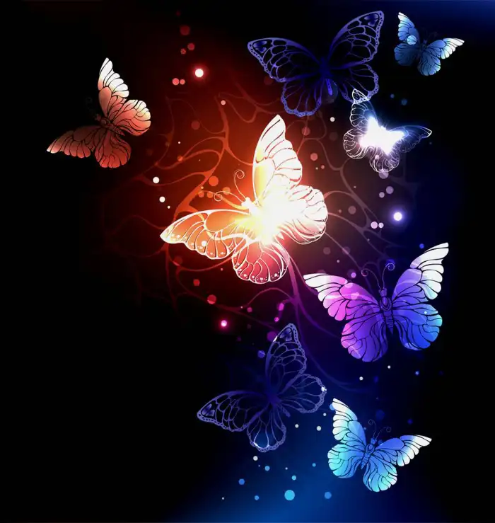 Aesthetic Butterfly Background HD Images