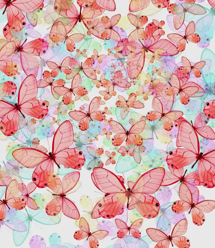 Aesthetic Butterfly Background HD Images