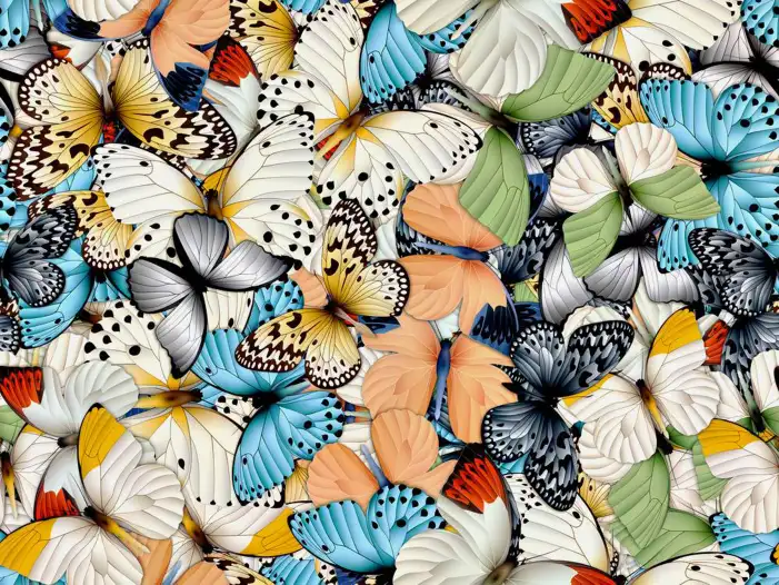 Aesthetic Butterfly Background HD Images