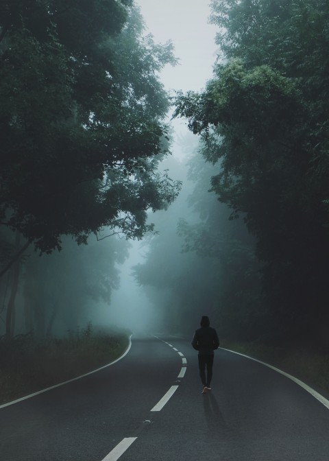 Alone Boy Forest tree Road Background HD Download