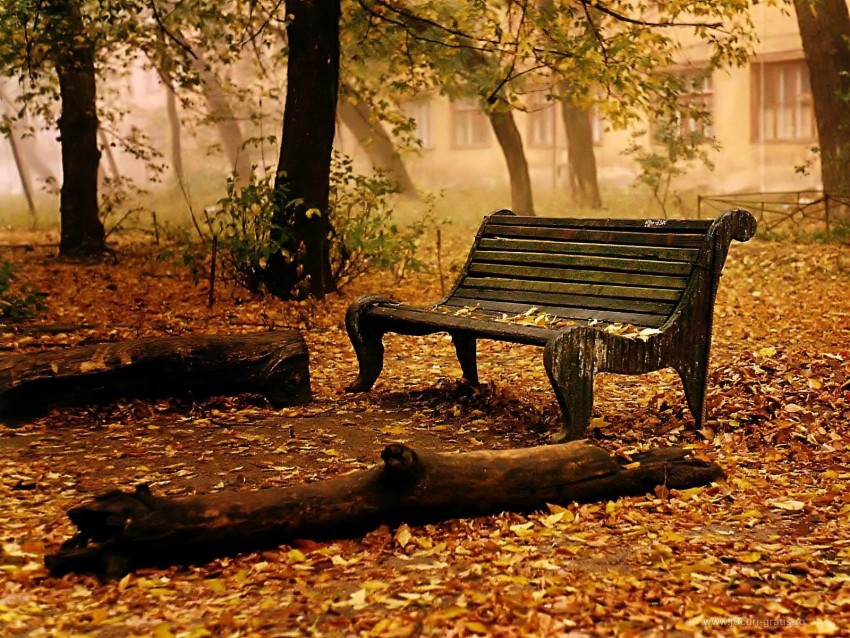 Alone Chair HD Background Wallpaper Pic