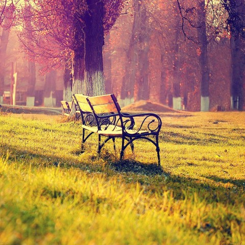 Alone Chair HD Background Wallpaper Pic