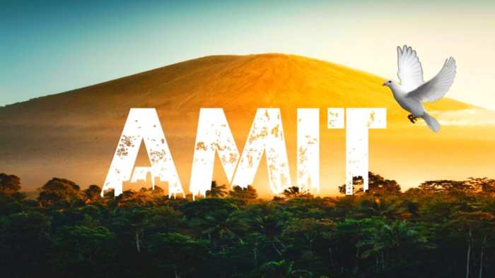 Amit Urban Jungle Background Free Stock Free HD Images