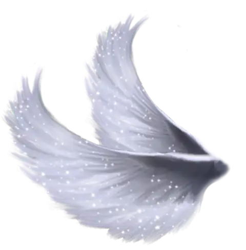 Angel White Wings Transparent PNG Images Download