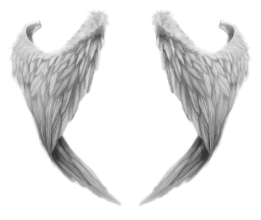 Angel Wings Transparent PNG Images Download