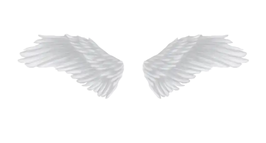 Angel Wings White PNG Background  Download