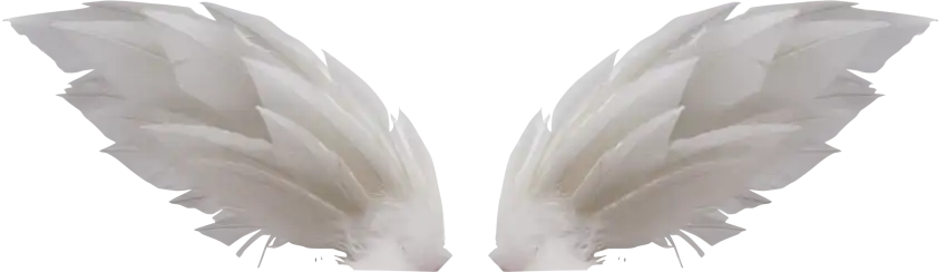 Angel Wings White PNG Background  Download