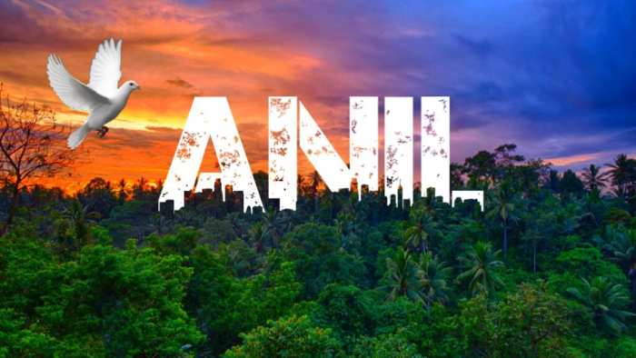 Anil Urban Jungle Font Free Download Free HD Images