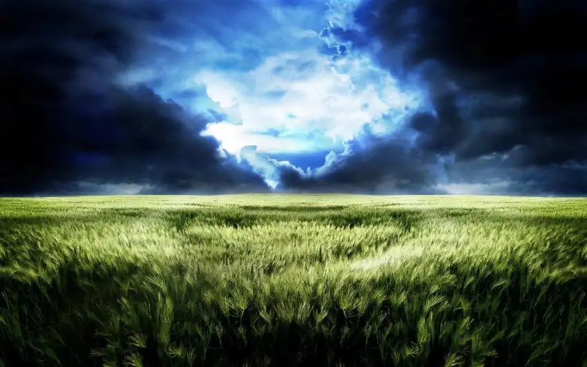 Anime Field With Sky Grass Background HD Download