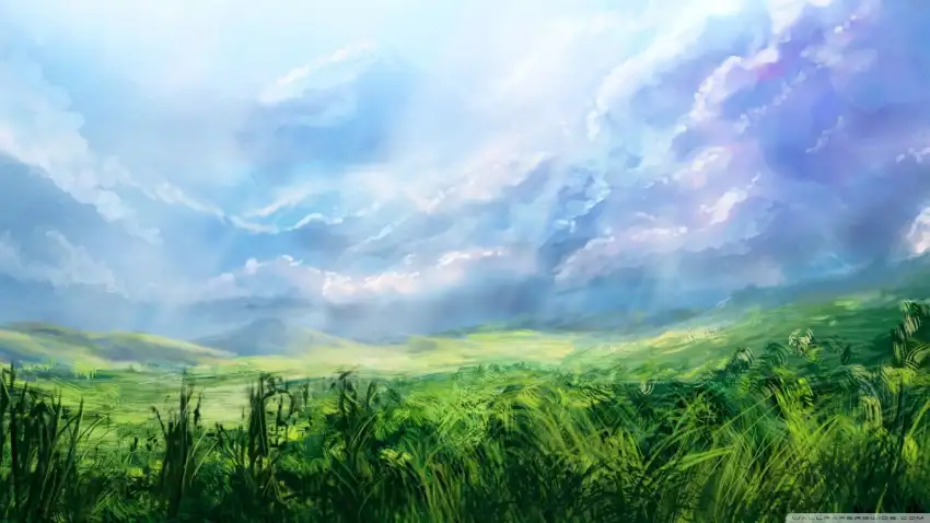 Anime Field With Sky Image Background HD Download