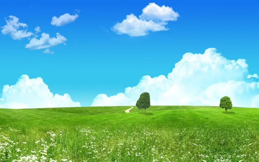 Anime Field With Sky Image Background HD Download