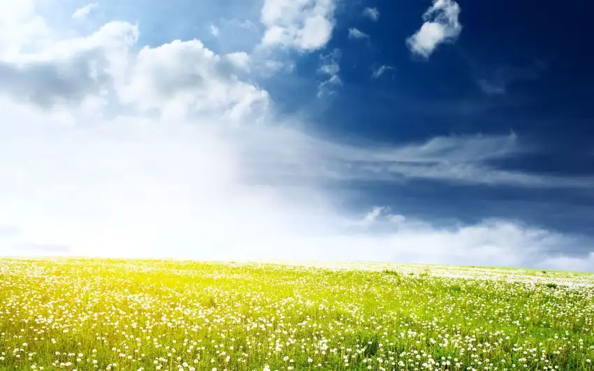 Anime Field With Sky Image Background HD Download