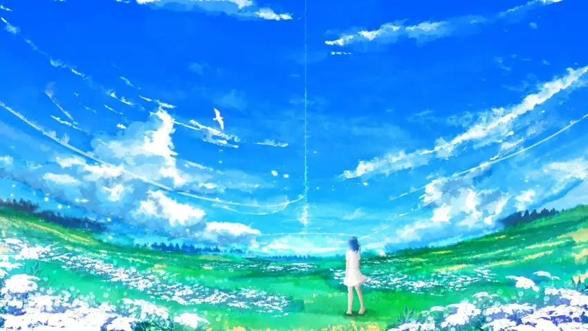 Anime Field With Sky Wallpaper Background HD Download