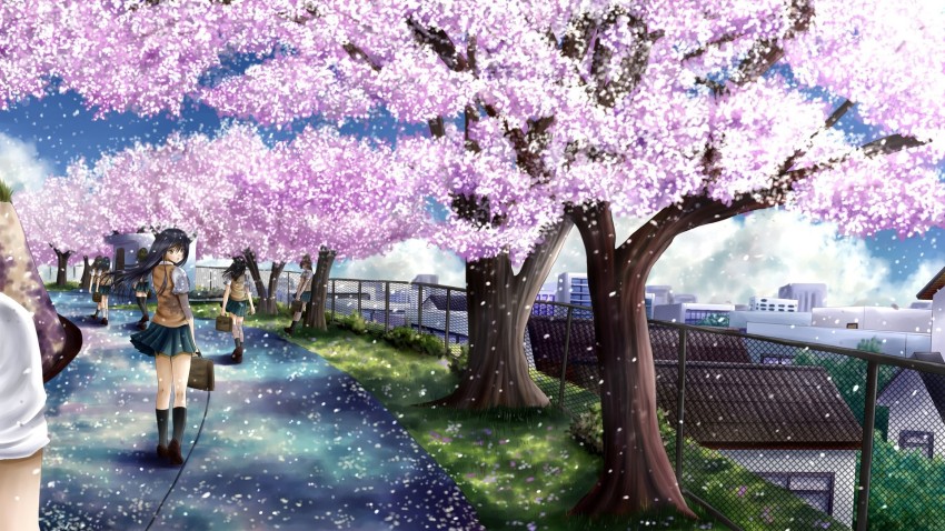 Anime Japan Tree Background HD Download