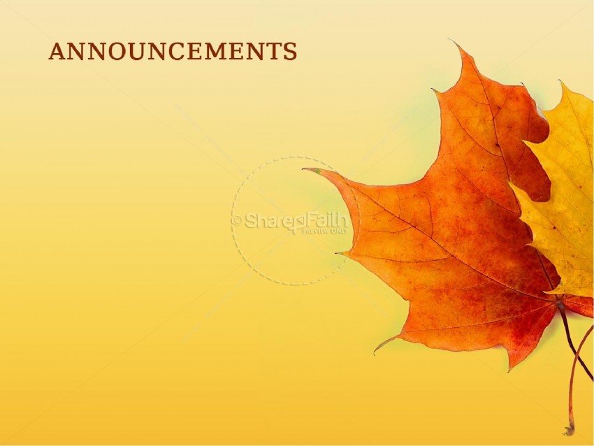 Announcement Text With Leafes PowerPoint Background