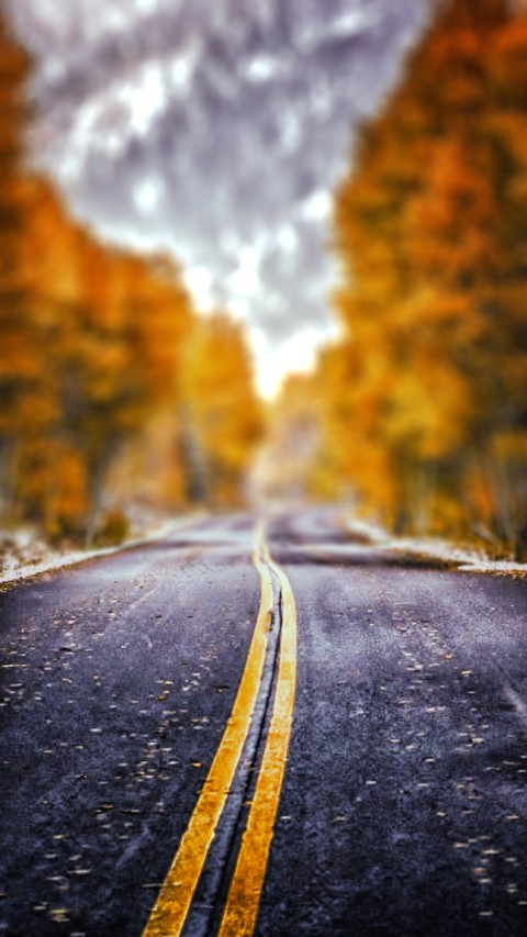 Autumn Leaves  Road CB Picsart Editing Background HD