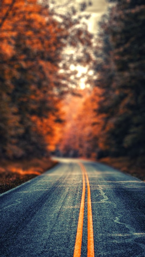 Autumn Leaves  Road CB Picsart Editing Background HD