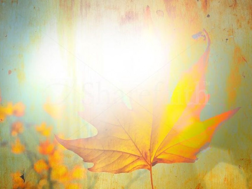 Autumn PPT PowerPoint Templates Background