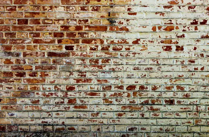 Backdrop Brick Wall Background HD  Images