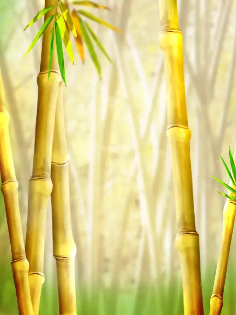 Bamboo Photography Studio Background HD Download