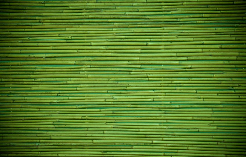 Bamboo Texture HD Background Wallpaper