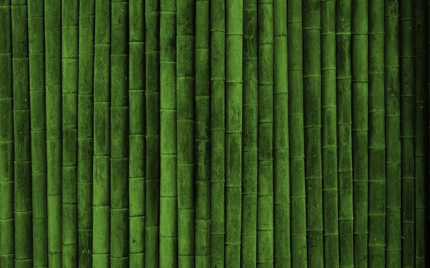 Bamboo Texture HD Background Wallpaper