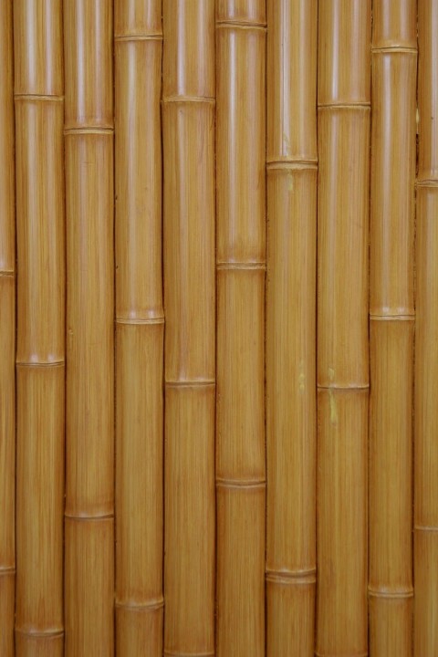 Bamboo Texture HD Background Wallpaper