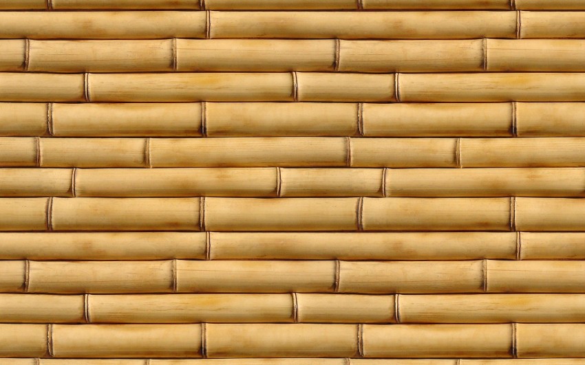 Bamboo Texture HD Background Wallpaper