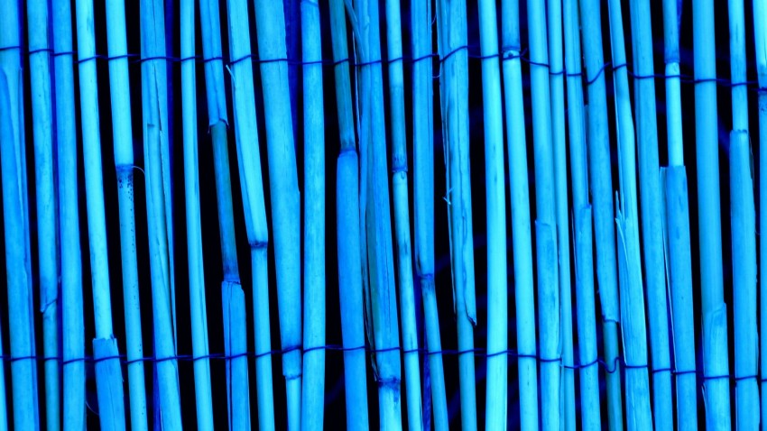 Bamboo Texture HD Background Wallpaper