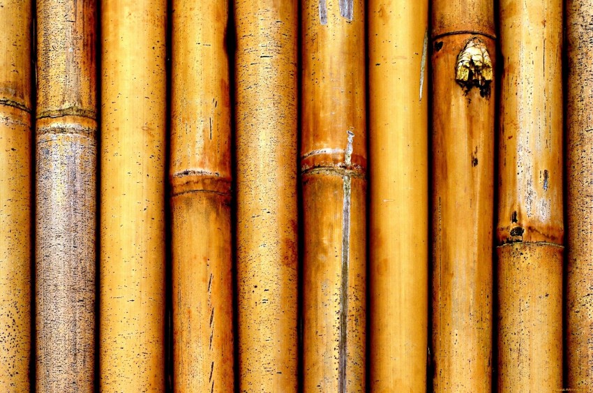 Bamboo Texture HD Background Wallpaper