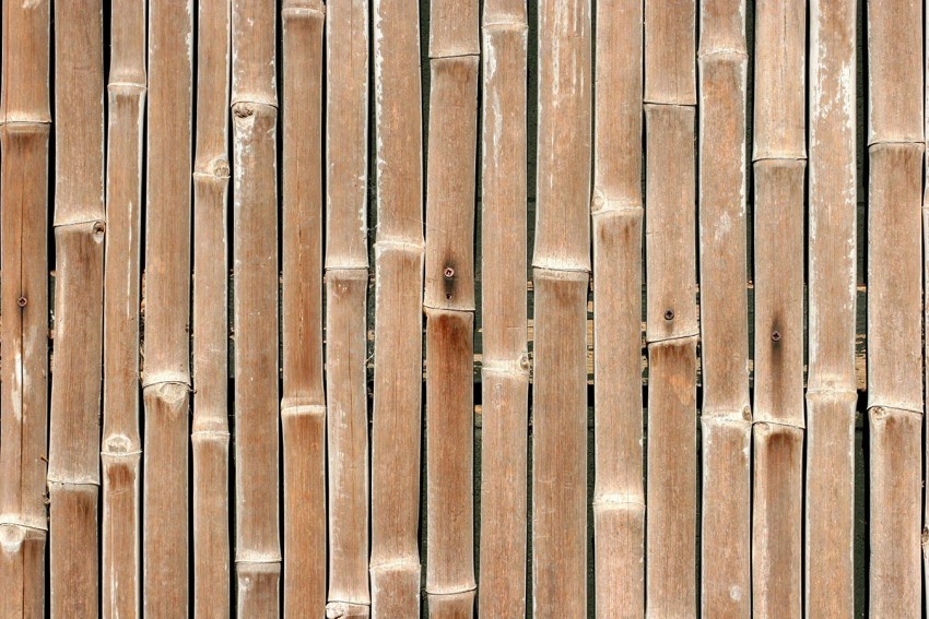 Bamboo Texture HD Background Wallpaper