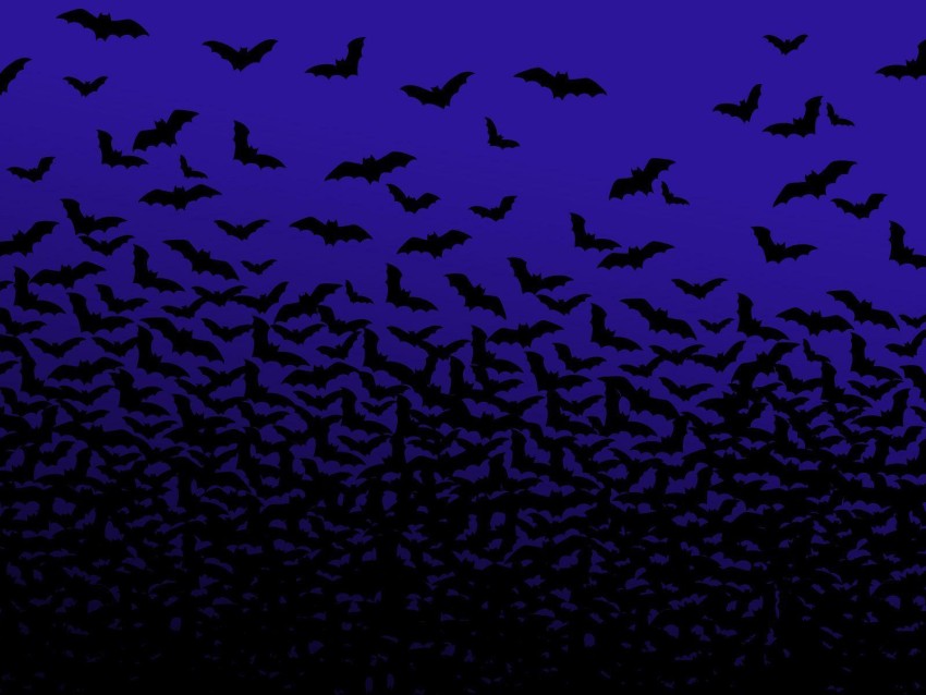 Bat Halloween Wallpaper Background HD