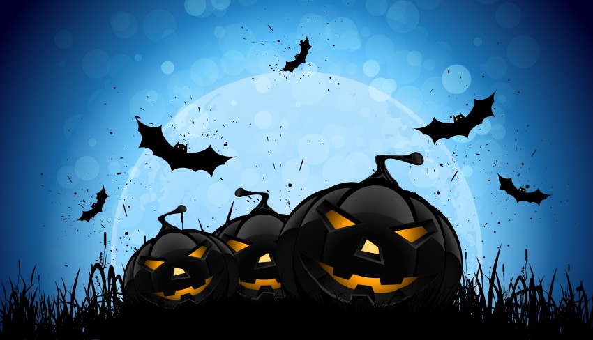 Bat Halloween Wallpaper Background HD