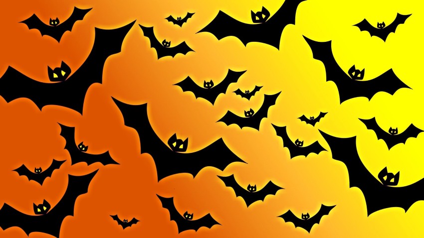 Bat Halloween Wallpaper Background HD