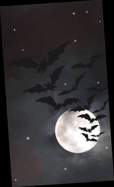 Bat Halloween Wallpaper Background HD