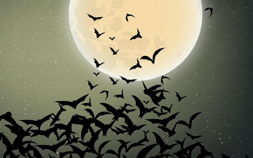 Bat Halloween Wallpaper Background HD