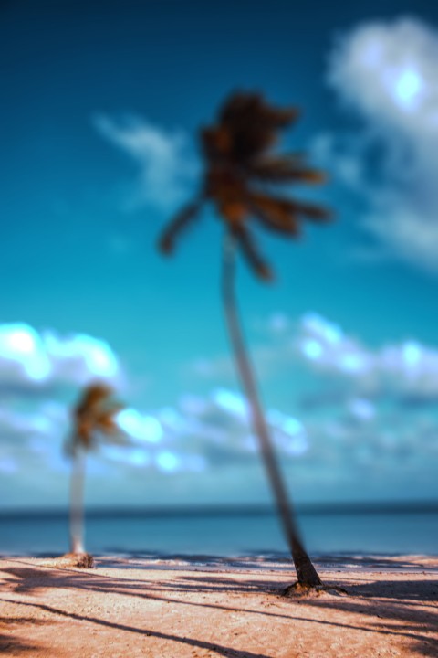 Beach CB Manipulation Background HD Download