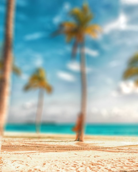 Beach CB Photoshop Editing Background HD  Download